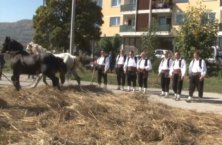 vrsaj