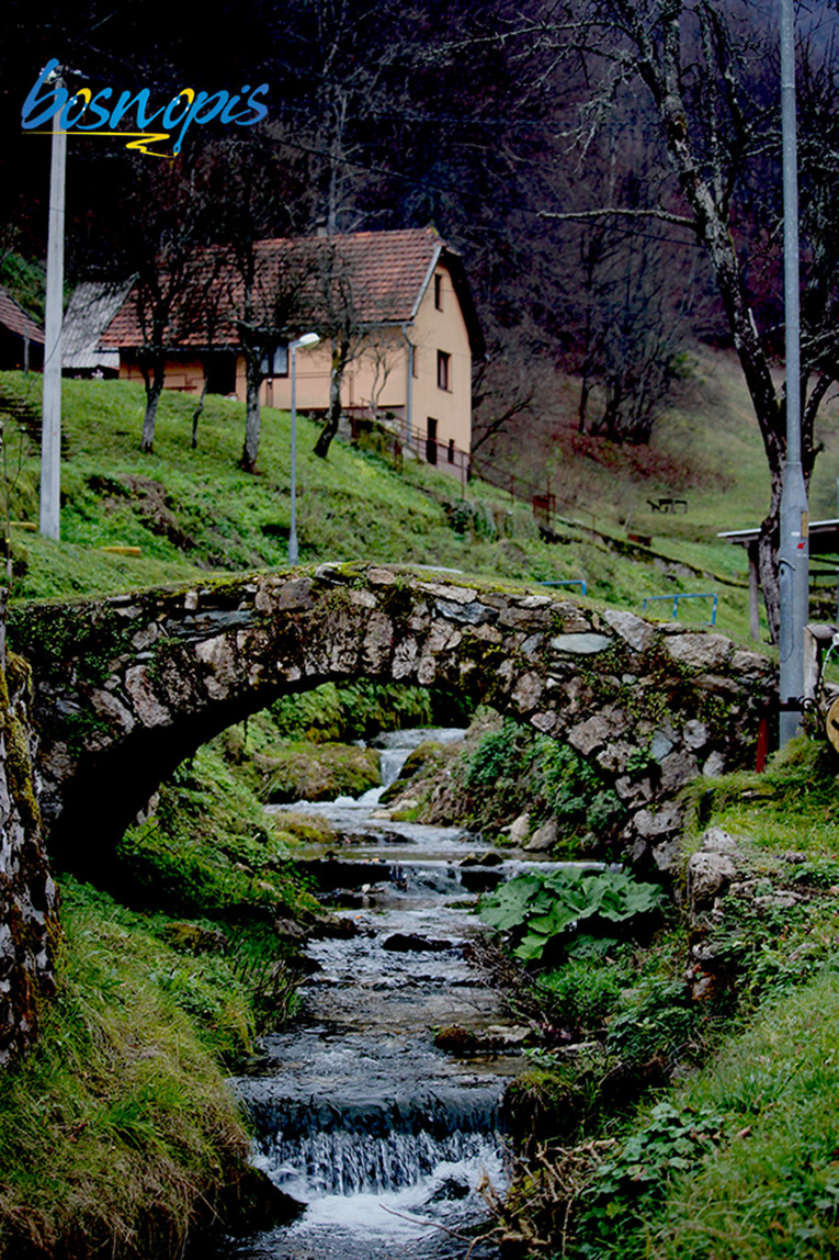 bosnopis kresevo