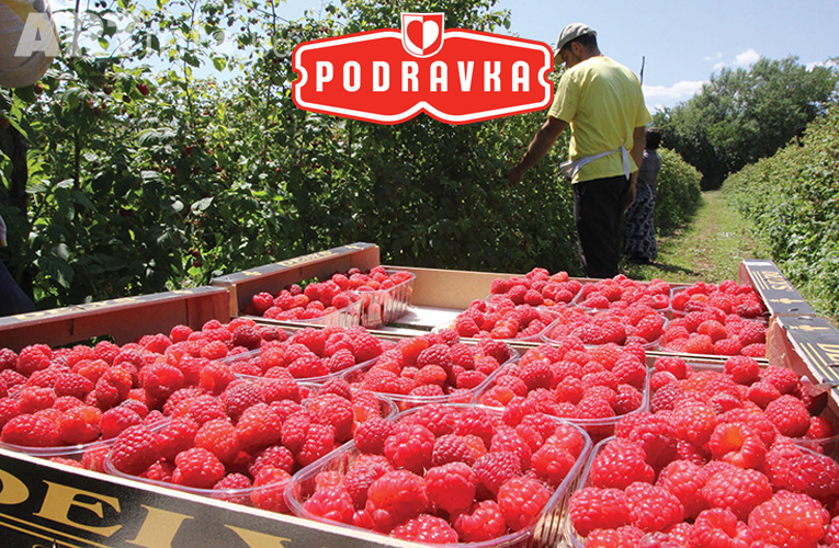 podravka maline