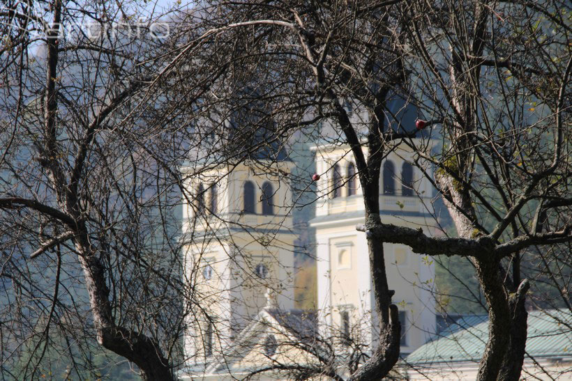 IMG_8160-(Kopiraj).jpg