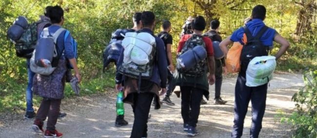 Migranti 800x350