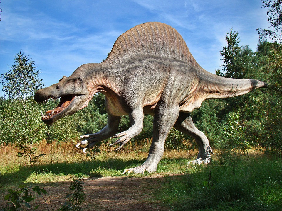 dino4.jpg