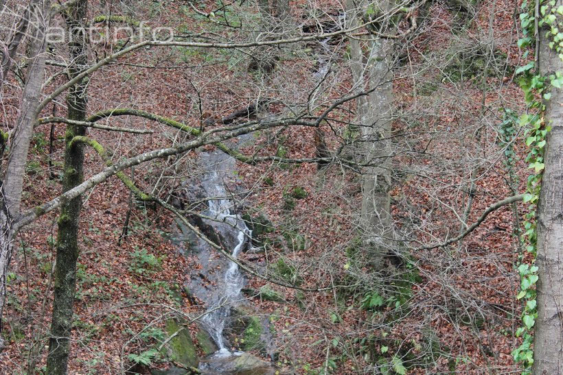 potok-kresevo-priroda.jpg