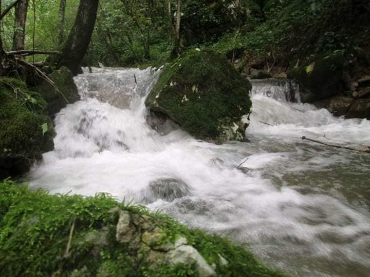 94215526_994098430987931_8001063535989751808_n.jpg