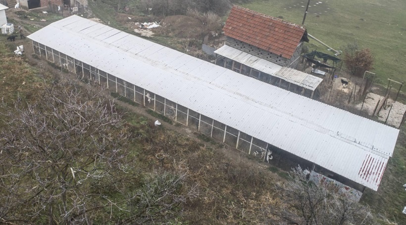 ANIMALCAREZENICA_MEDIJIMA_014.jpg
