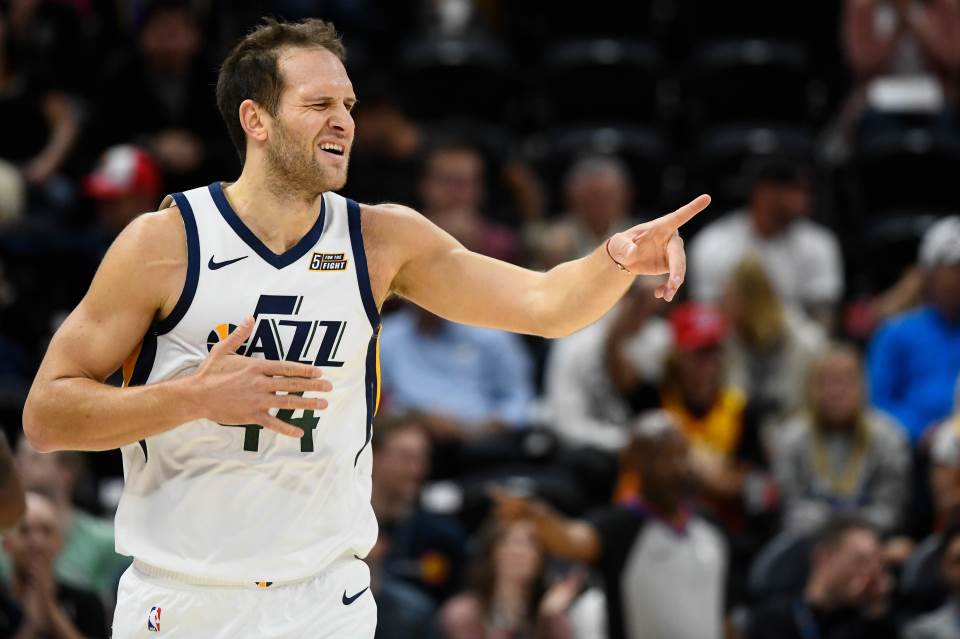 bojan-bogdanovic-173698.jpeg
