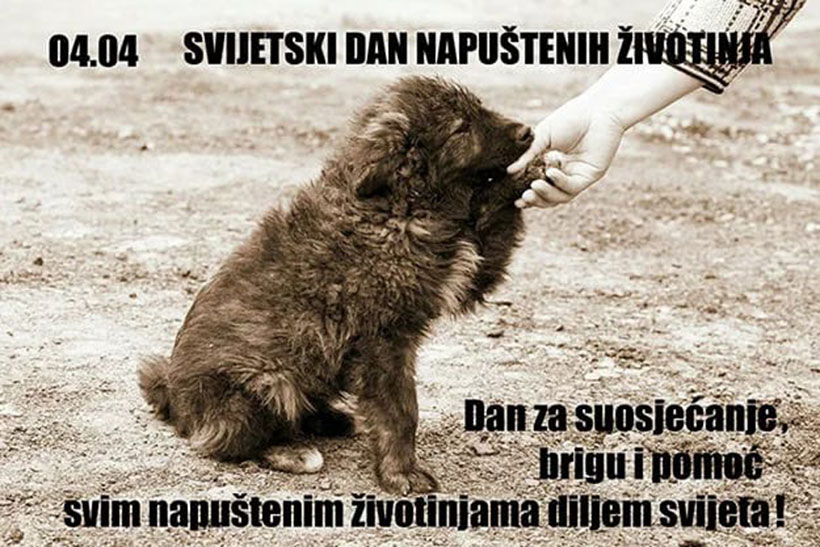 dan napustenih zivotinje