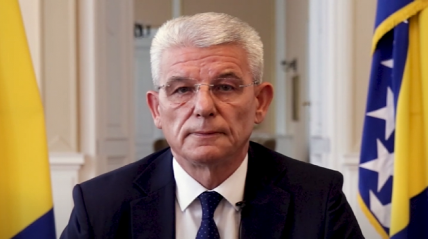 dzaferovic_fena.png