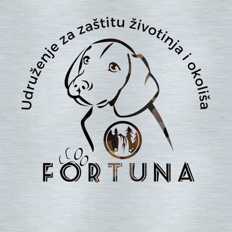 fortuna.jpg