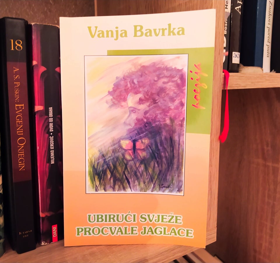 Bavrka 2
