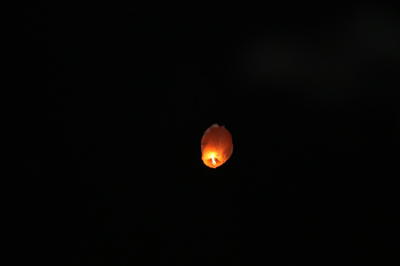 IMG_9351.JPG