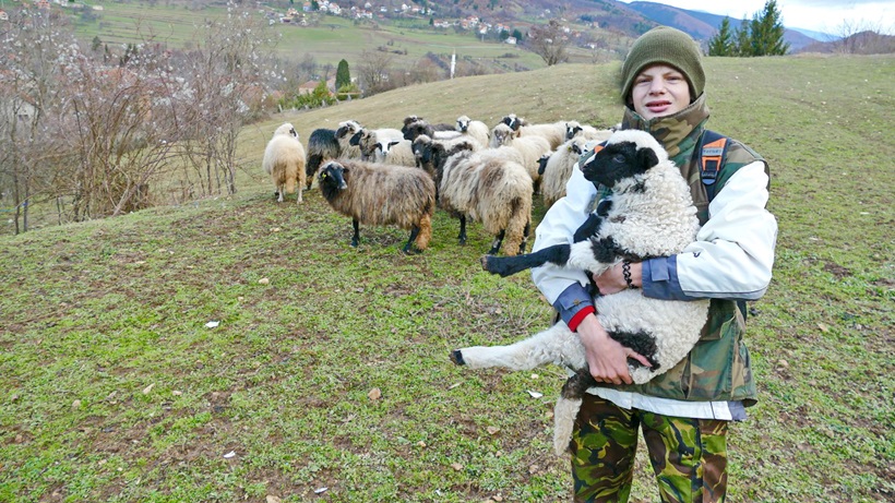 esmir_cuva_ovce_s_pjesmom.jpg