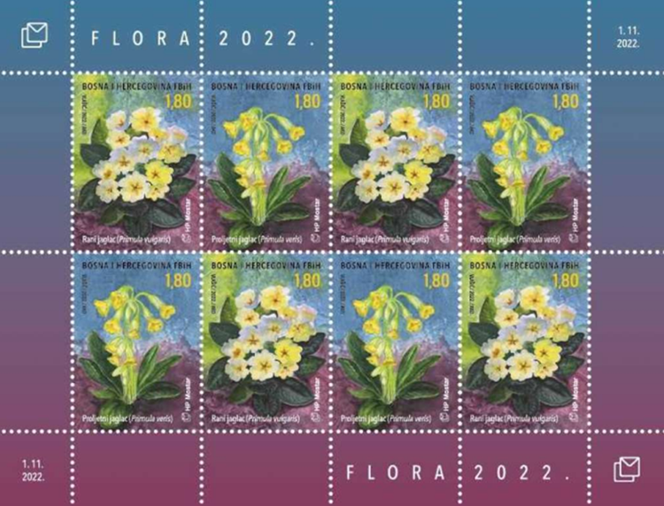 florafuna312312.png