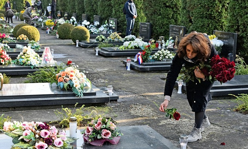 ruzevukovar.jpg