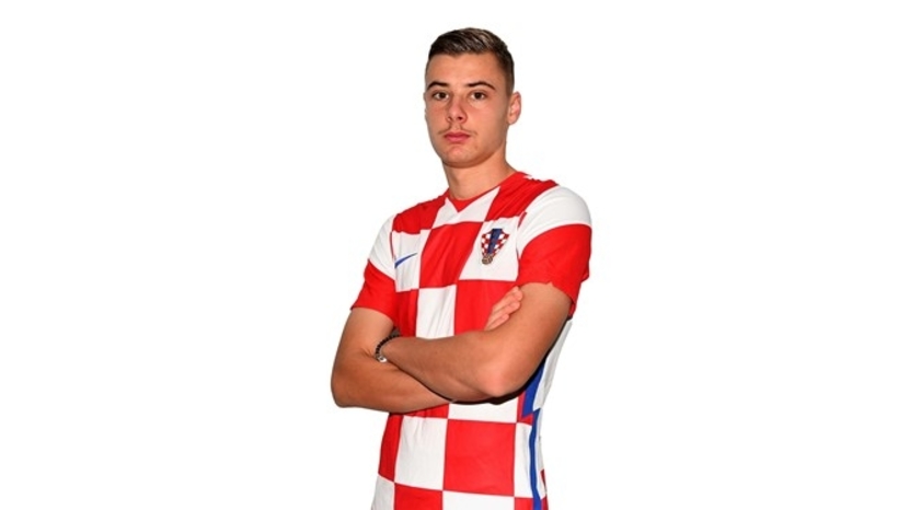 vidovic-repka.jpg