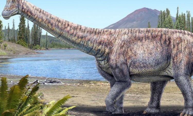 Dinosaurus_ilustracija-1.jpg