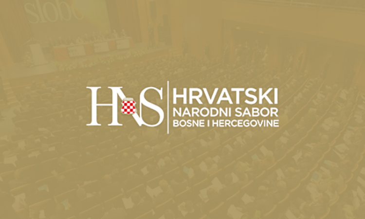 HNS1.png