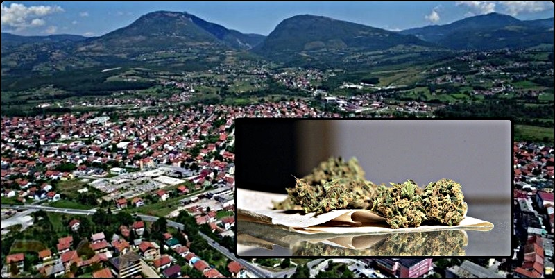 bugdroga.jpg
