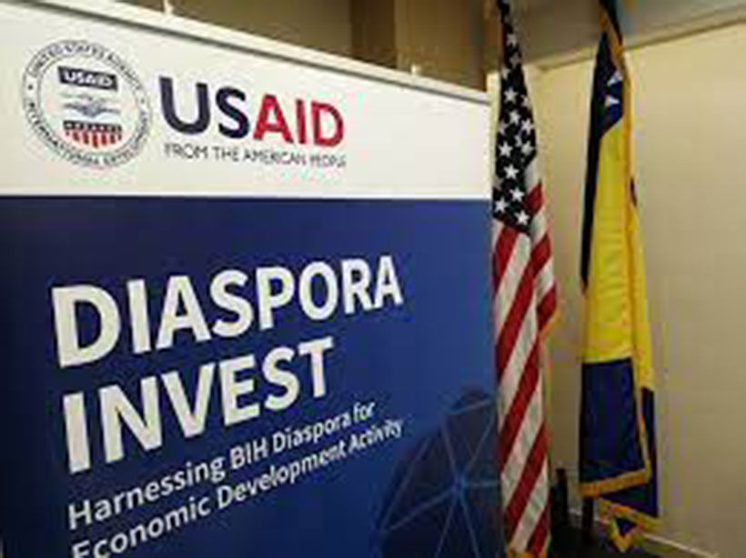 diaspora invest logo