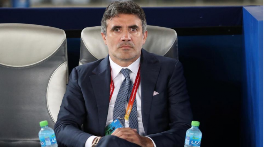 mamic.png