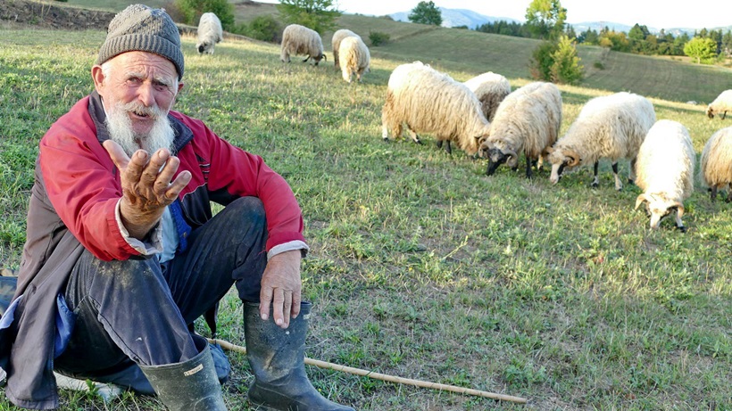 najstariji_ovcar_u_bih.jpg