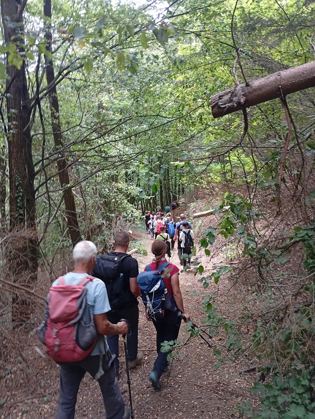 Lajk-za-kamp-2026-2.jpg
