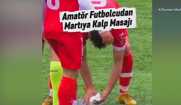 galeb.png