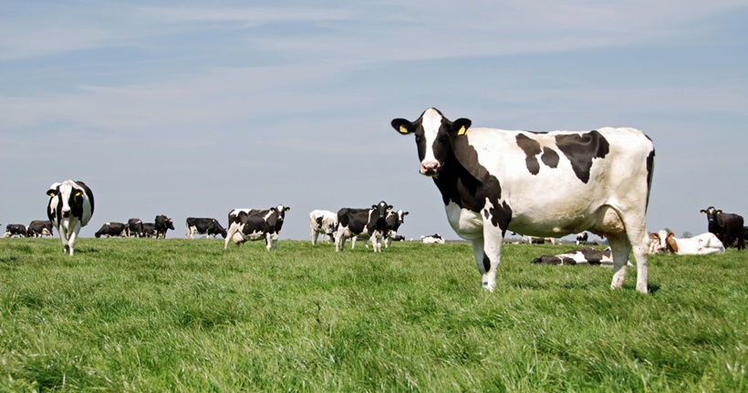 home_cover_photo_dsc_6044_copy.jpg