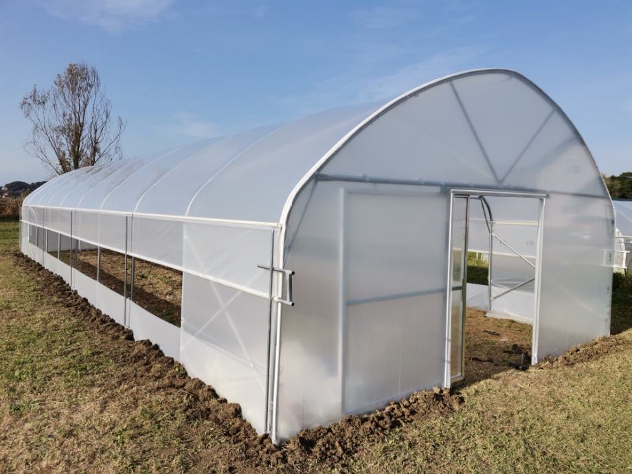 plastenik-plastenici-6m-sirine-slika-144560099.jpg