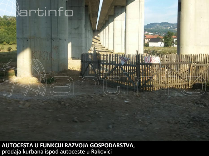 prodaja-kurbana