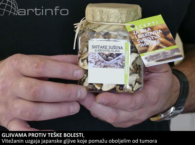 gljivama-protiv-tumora-1