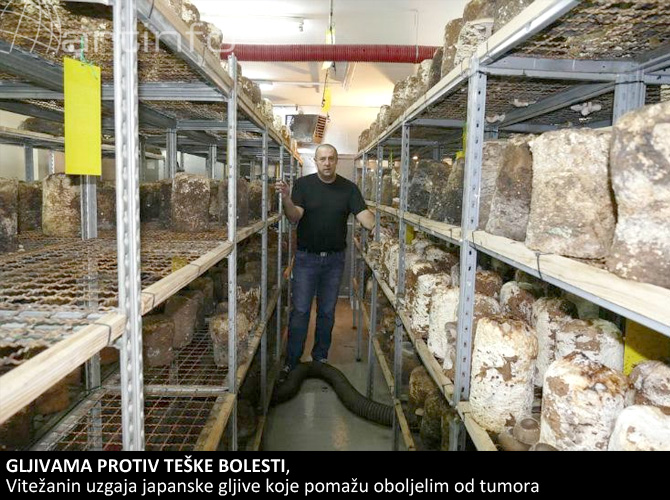 gljivama-protiv-tumora