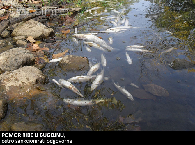 pomor-ribe-u-bugojnu