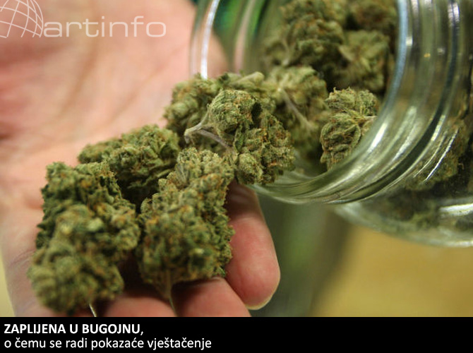 marijuana